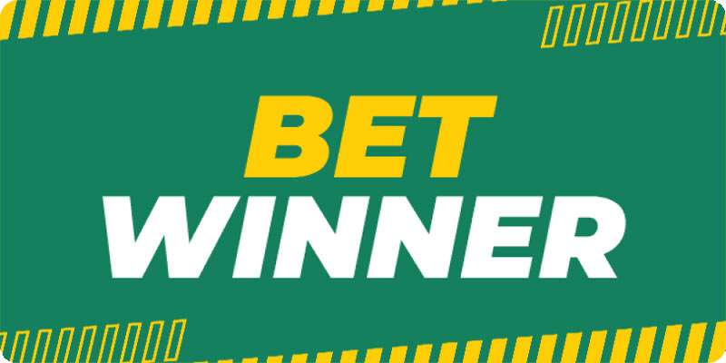 Experience the Thrill of Betting with BetWinner 7