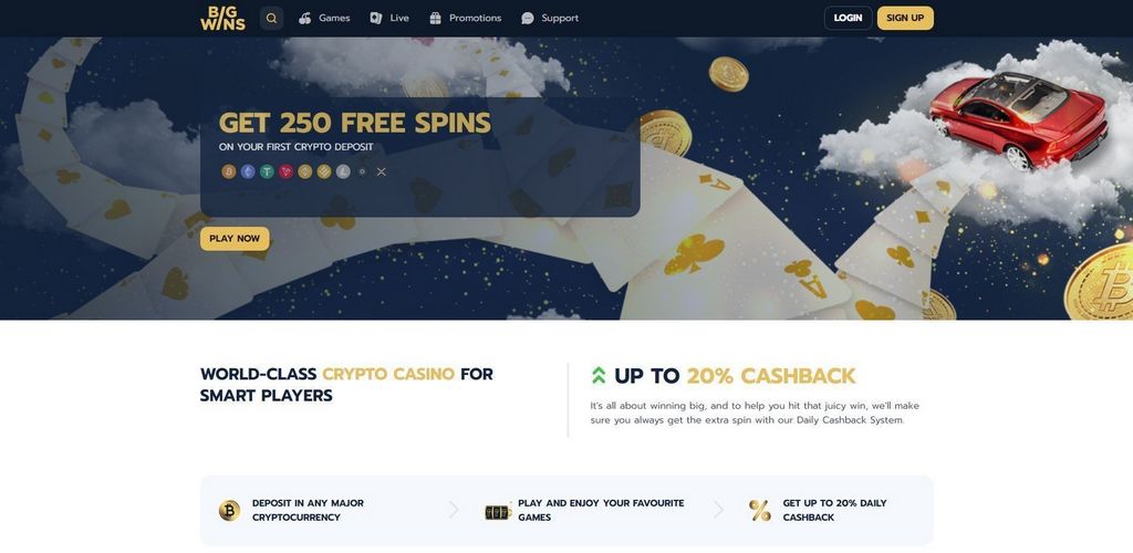 BigWin Gambling Establishment (2025) - Player Rankings & Our Decision BigWin Gambling Establishment (2025) - Player Rankings & Our Decision