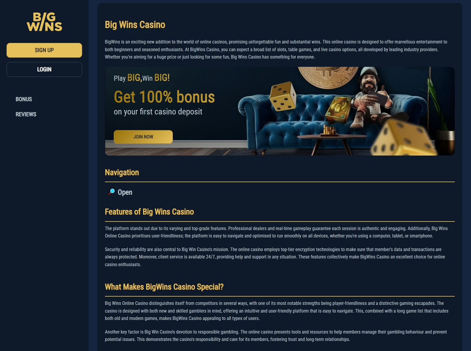 Bigwins Bet Testimonial